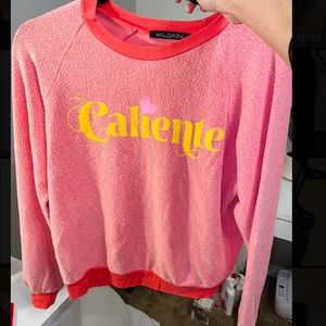Wildfox sweatshirt